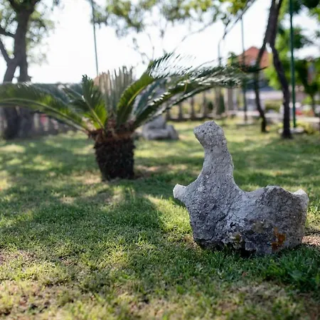 Апартаменты Marcela *