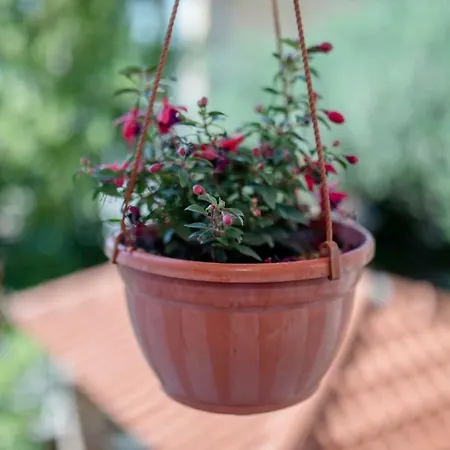 Marcela Апартаменты *